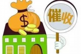 吐鲁番为什么选择专业追讨公司来处理您的债务纠纷？